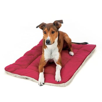 red cheap dog beds