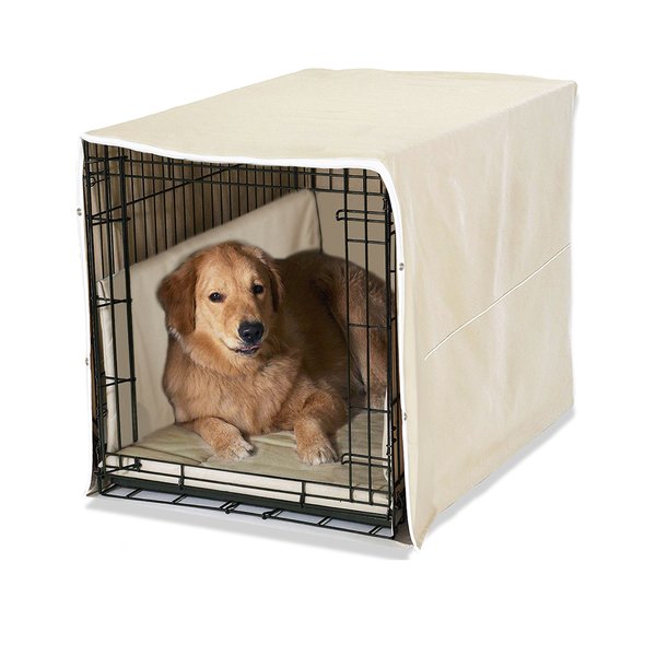 dog crate and bed