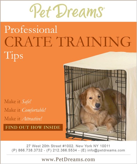 Crate Training Tips Brochure
